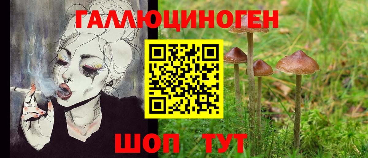 Галлюциногенные грибы GOLDEN TEACHER Верхняя Пышма