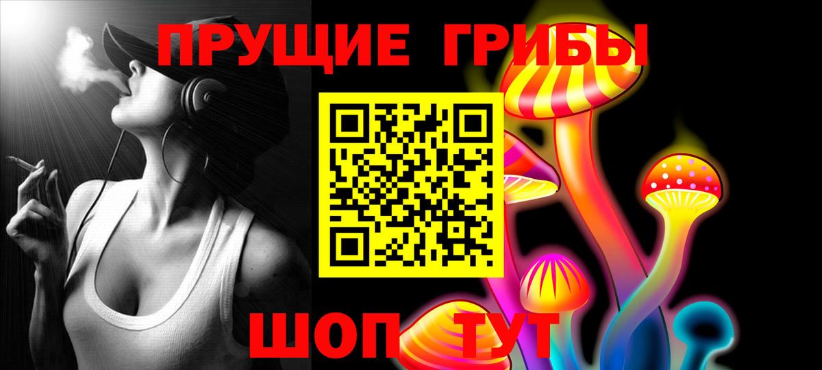 Верхняя Пышма  Псилоцибиновые грибы мицелий  Вход с VPN 